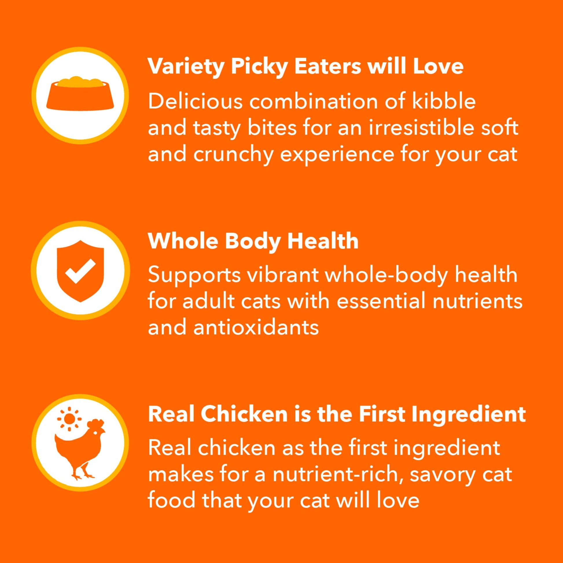 Iams Healthy Enjoyment Chicken & Salmon Recipe Dry Cat Food, 6 Lb Bag