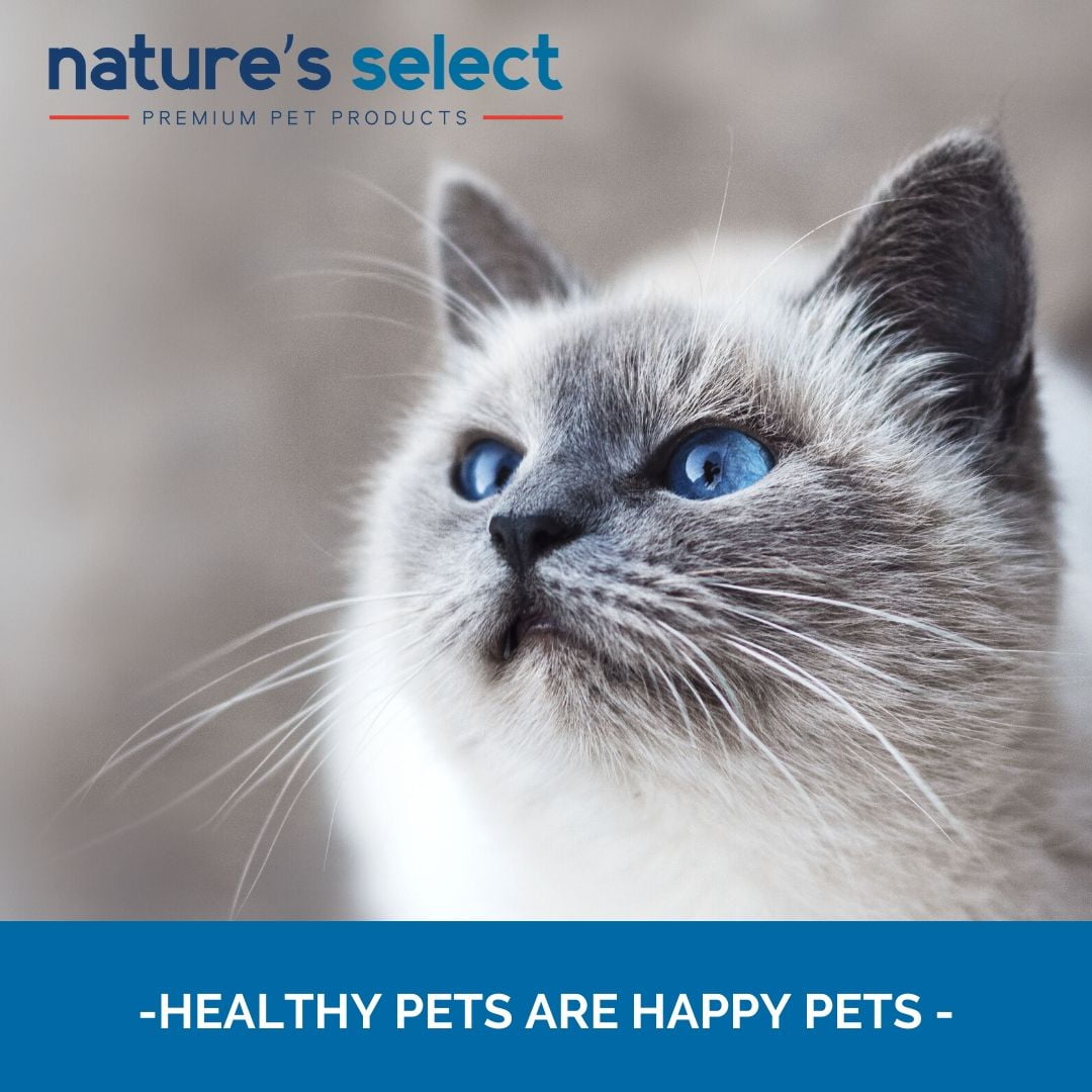 Nature's Select Feline Classic Nutrition Recipe - Dry Cat Food for All Ages