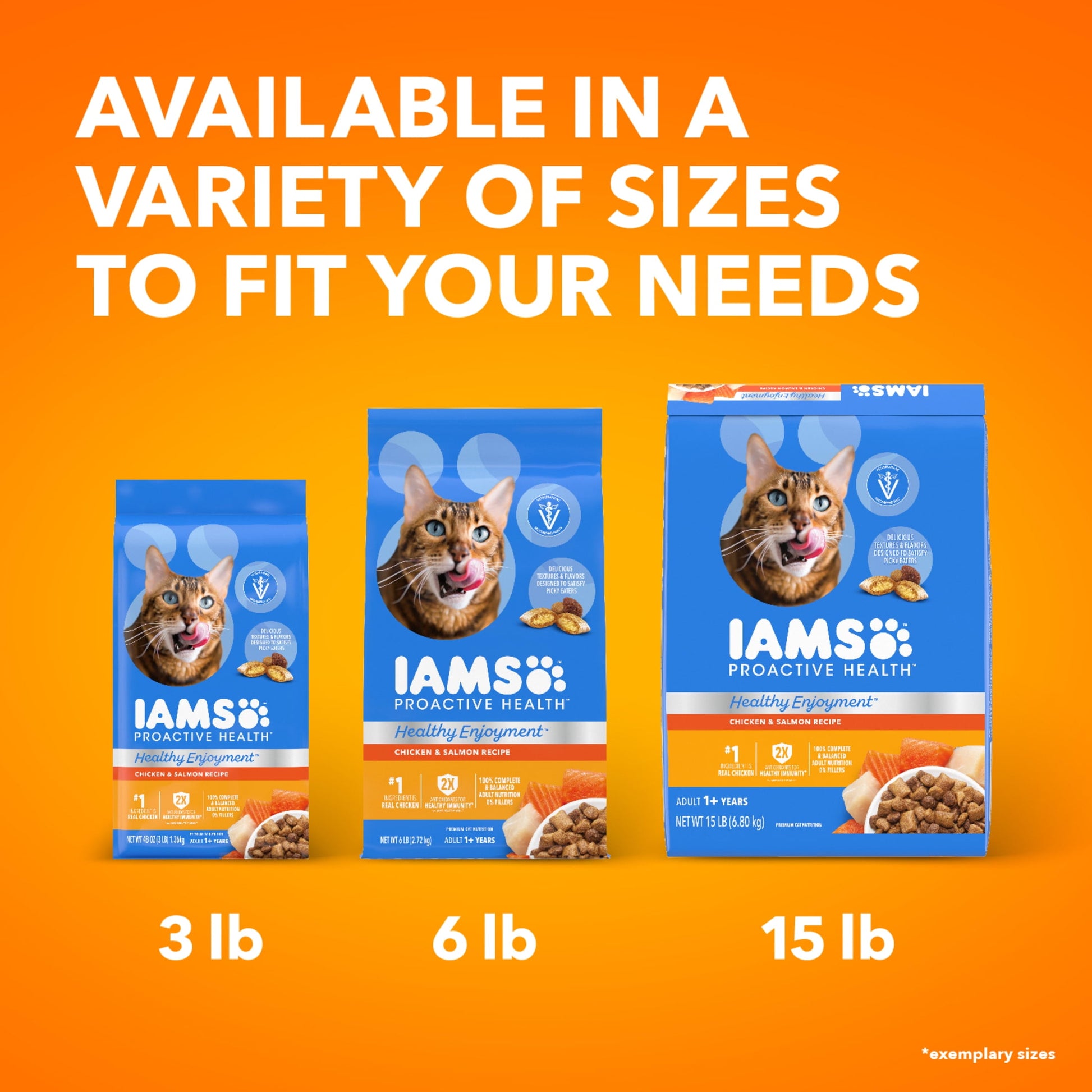 Iams Healthy Enjoyment Chicken & Salmon Recipe Dry Cat Food, 6 Lb Bag