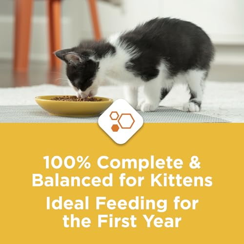 Purina Kitten Chow Cat Food