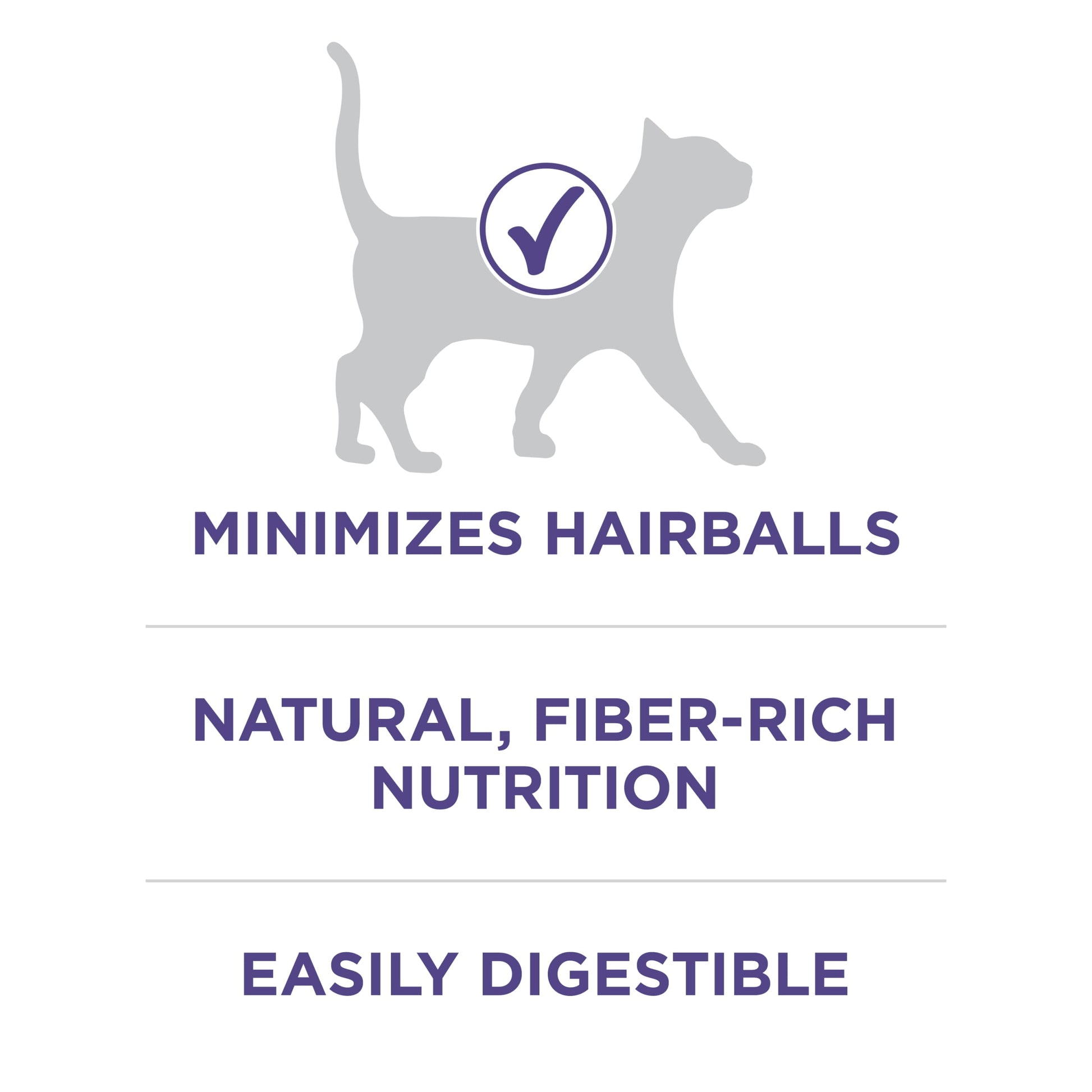 Purina ONE Plus Dry Cat Food Hairball Formula, Natural Chicken, 22 lb Bag