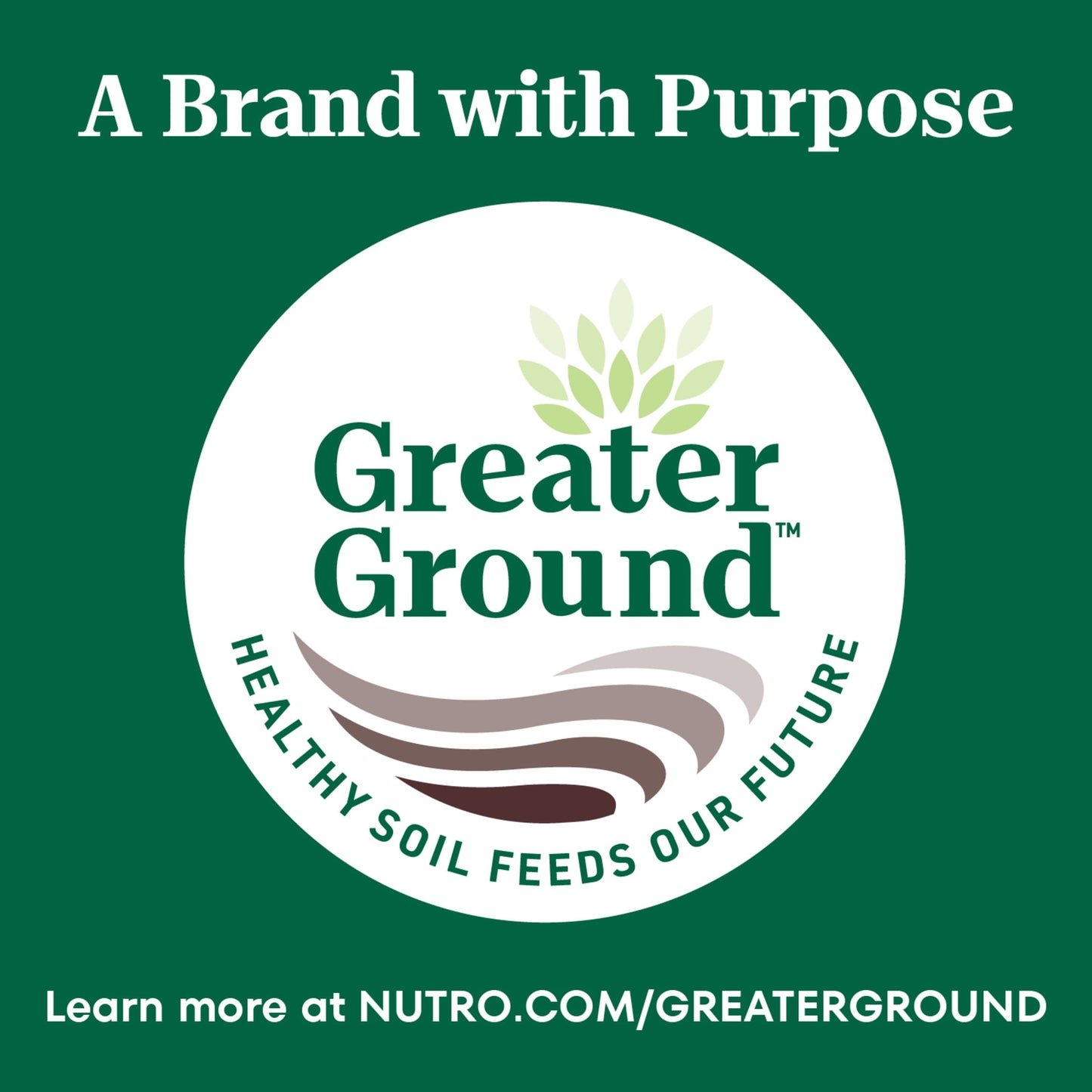 Nutro Wholesome Essentials Adult Dry Cat Food, Salmon & Brown Rice Recipe, 14 Lbs.