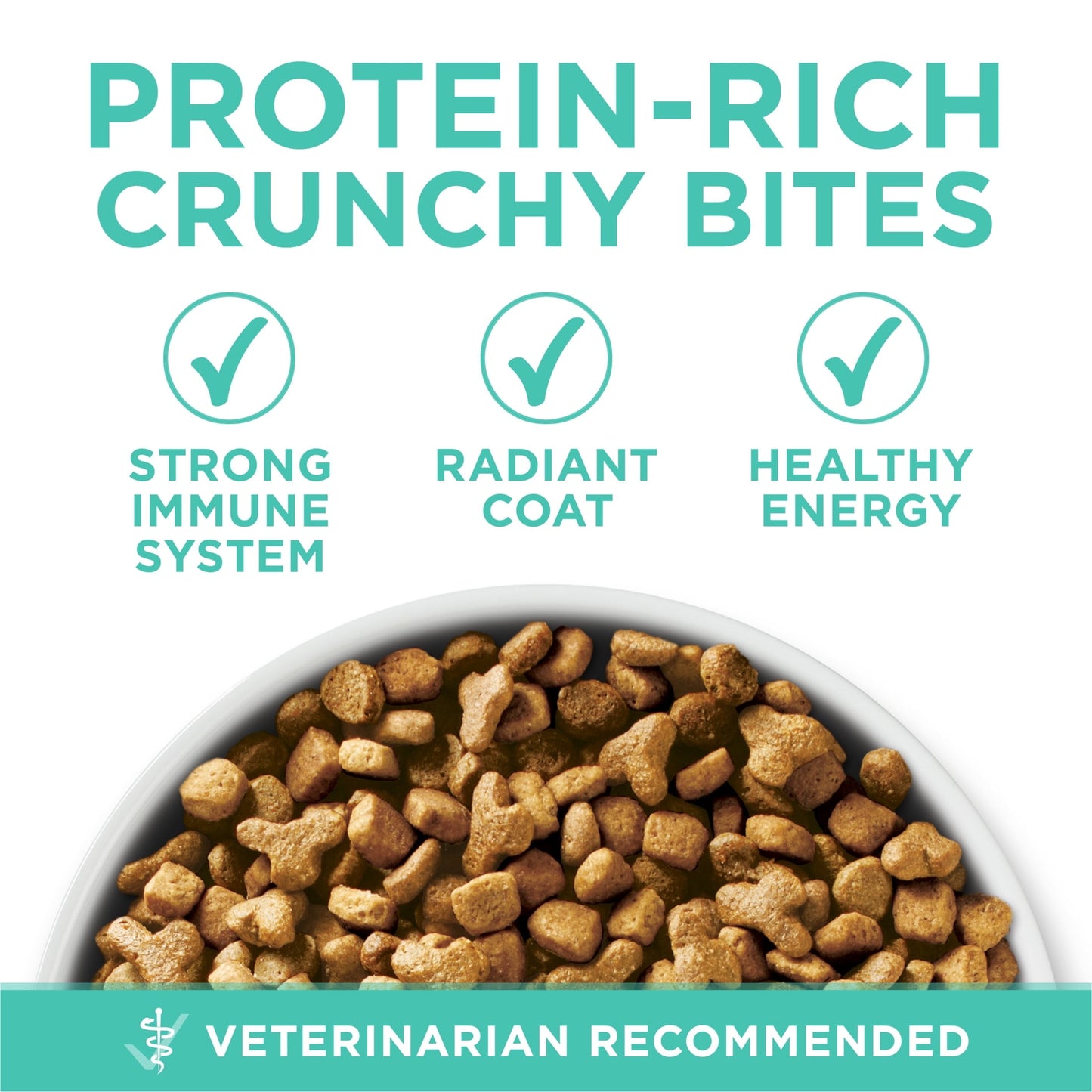 Purina ONE Plus, Sensitive Skin & Stomach, Dry Cat Food, Turkey, 7 lb Bag