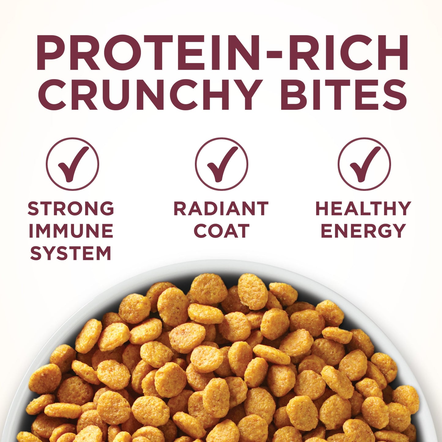 Purina ONE Plus, Uniary Tract Health Formula Dry Cat Food, Chicken, 16 lb Bag