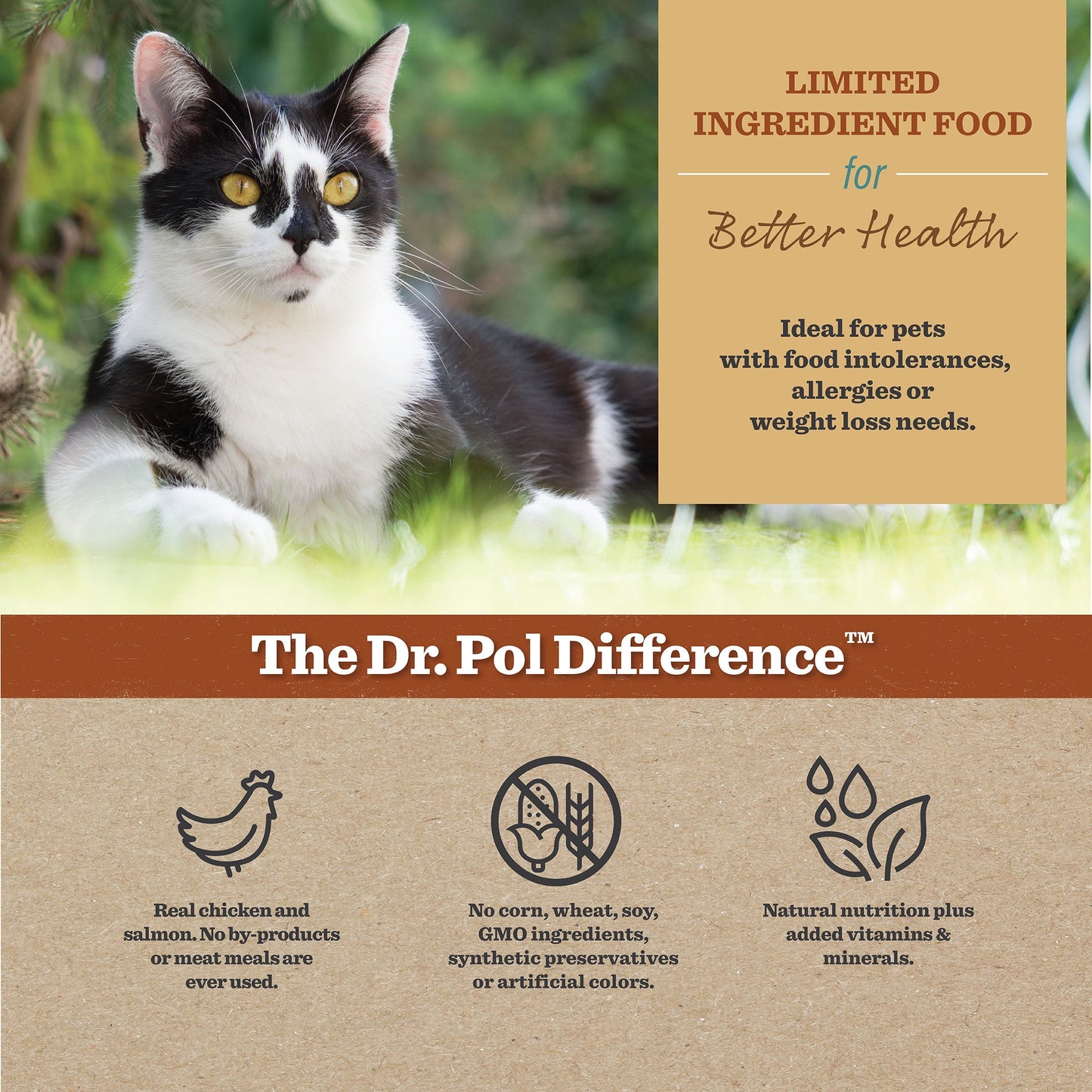 Dr. Pol High Protein Limited Ingredient Chicken Recipe Dry Cat Food for All Breeds, Ages and Sizes of Cats and Growing Kittens, 8 lb. Bag