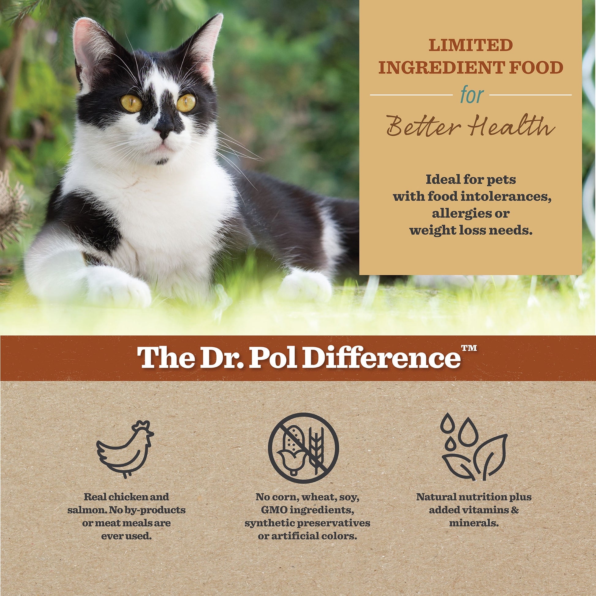 Dr. Pol High Protein Limited Ingredient Chicken Recipe Dry Cat Food for All Breeds, Ages and Sizes of Cats and Growing Kittens, 8 lb. Bag