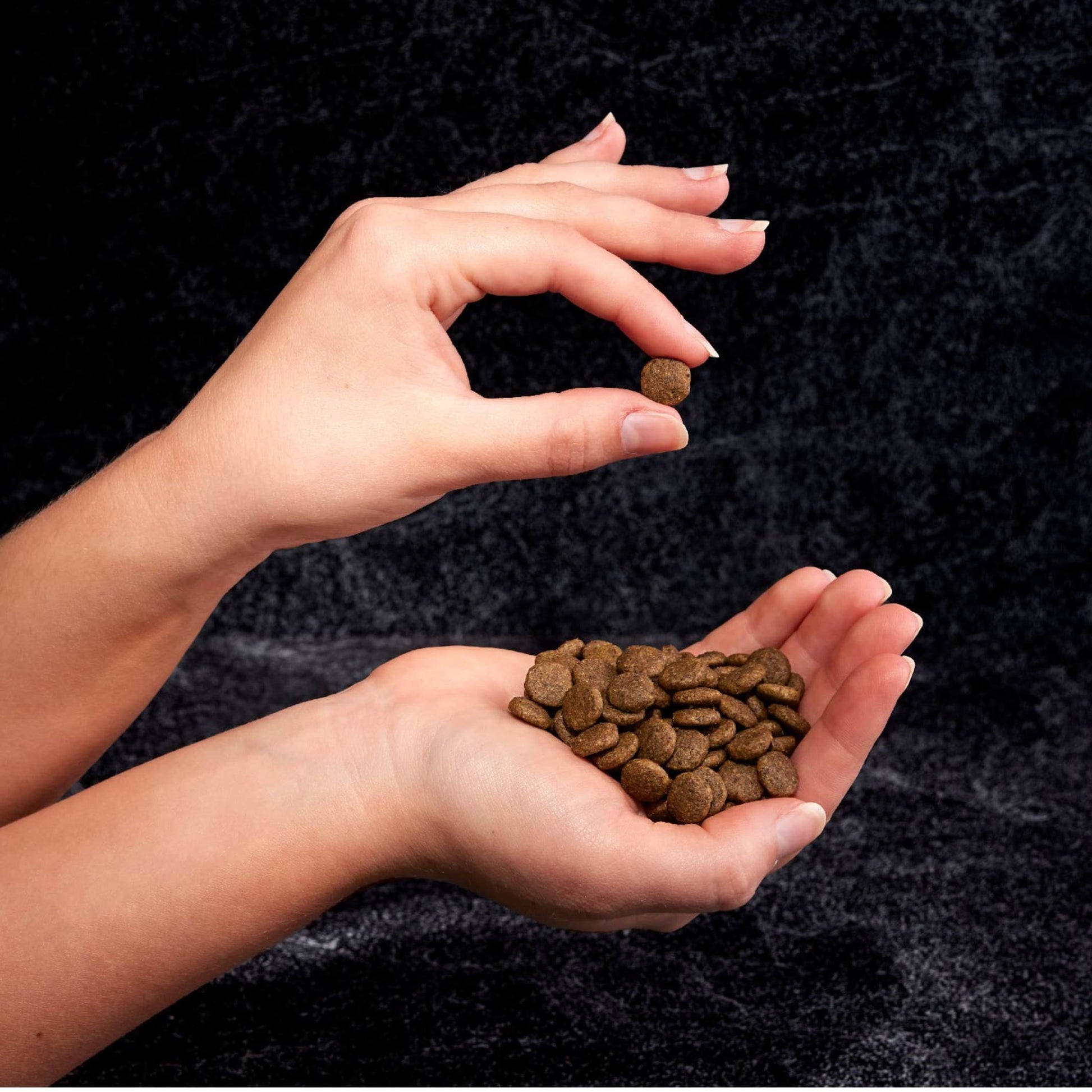 Crave Grain Free Adult High Protein Natural Dry Cat Food With Protein From Chicken, 2 Lb. Bag