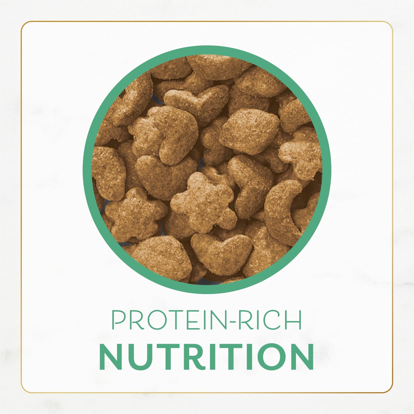 Purina Fancy Feast Dry Cat Food With Ocean Fish and Salmon