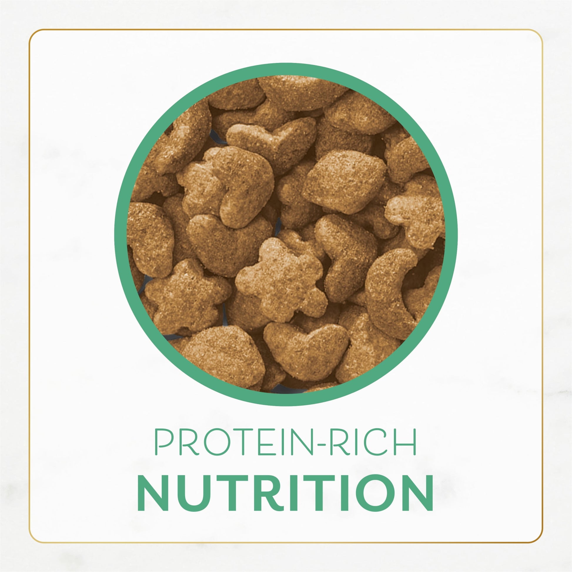 Purina Fancy Feast Dry Cat Food With Ocean Fish and Salmon