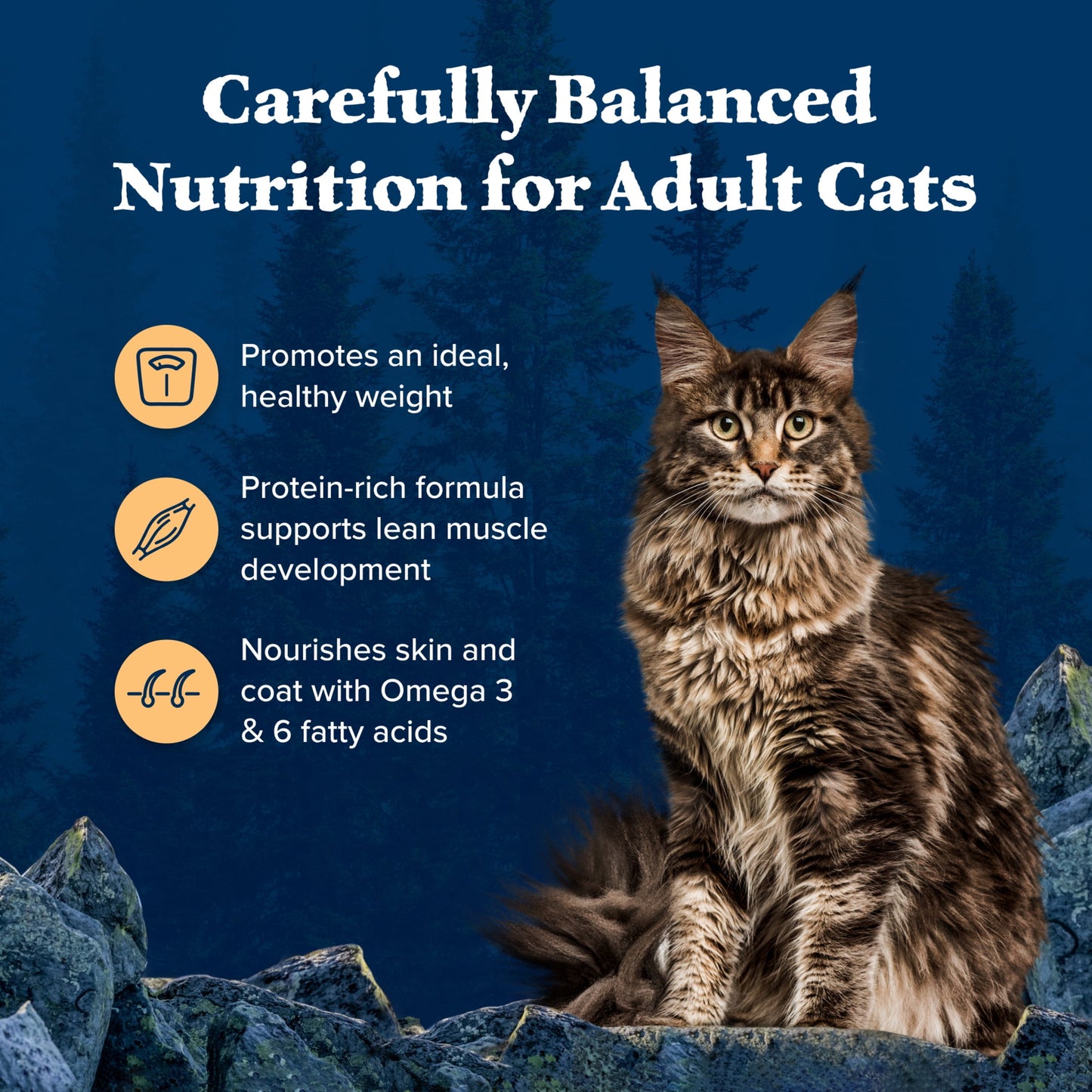 Blue Buffalo Wilderness Natural Weight Control Dry Cat Food, High-Protein, Chicken, 5 lbs.