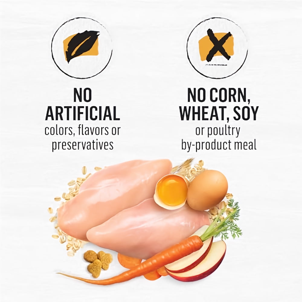 Purina Beyond Simply White Meat Chicken and Whole Oat Meal (Pack of 12)