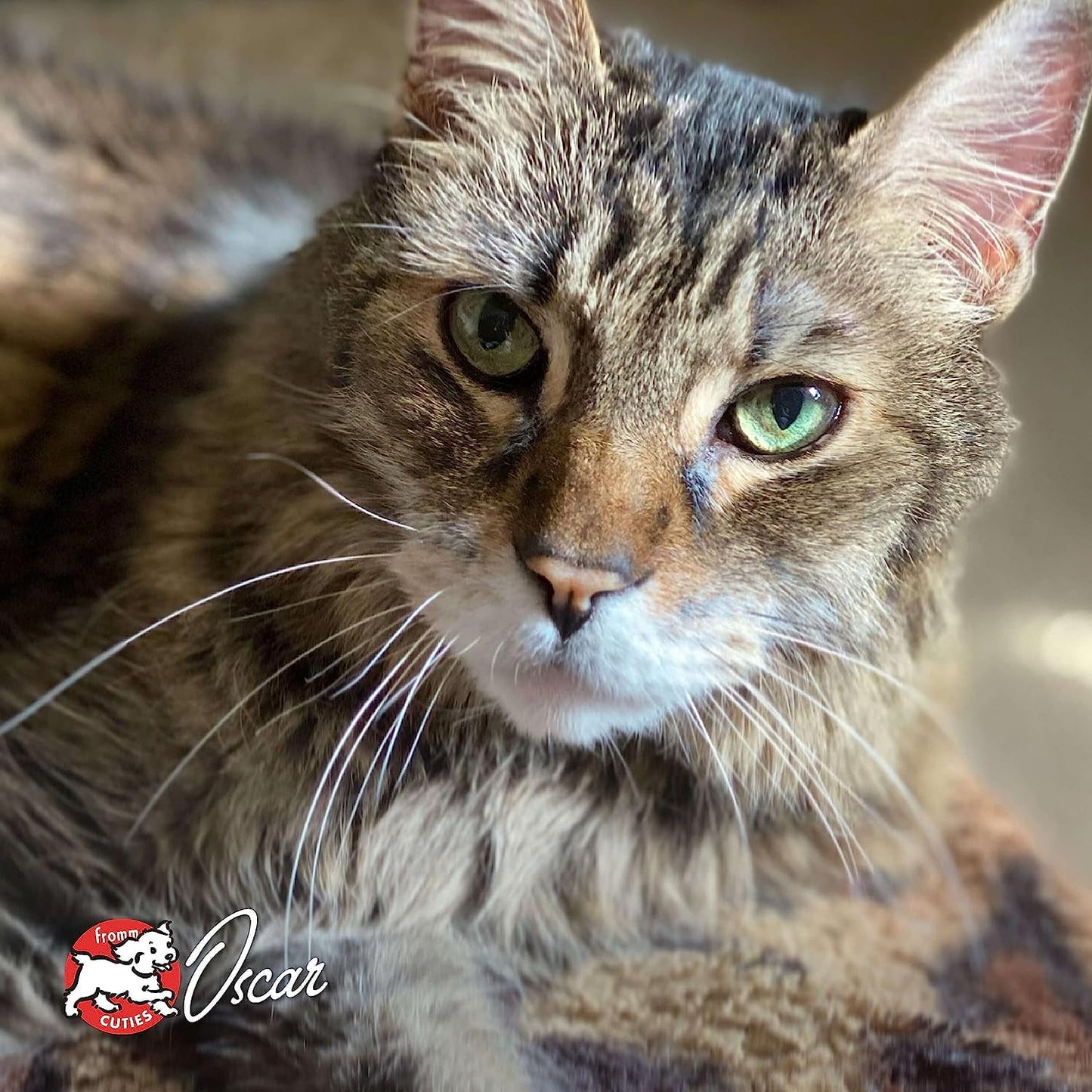 Fromm Gold Adult Cat 4 Lb