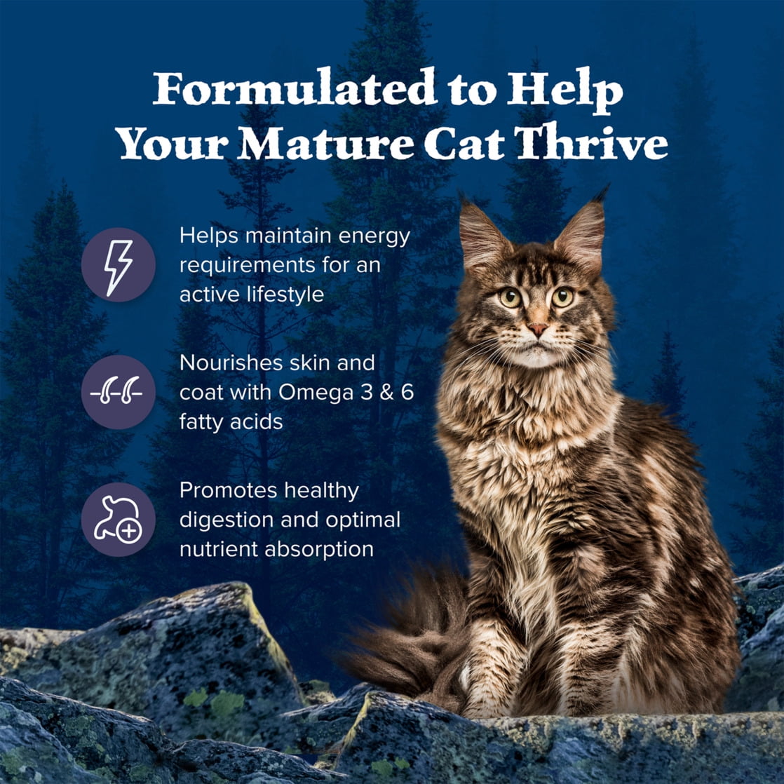 Blue Buffalo Wilderness Natural Mature Dry Cat Food, High-Protein, Chicken, 5-lb. Bag