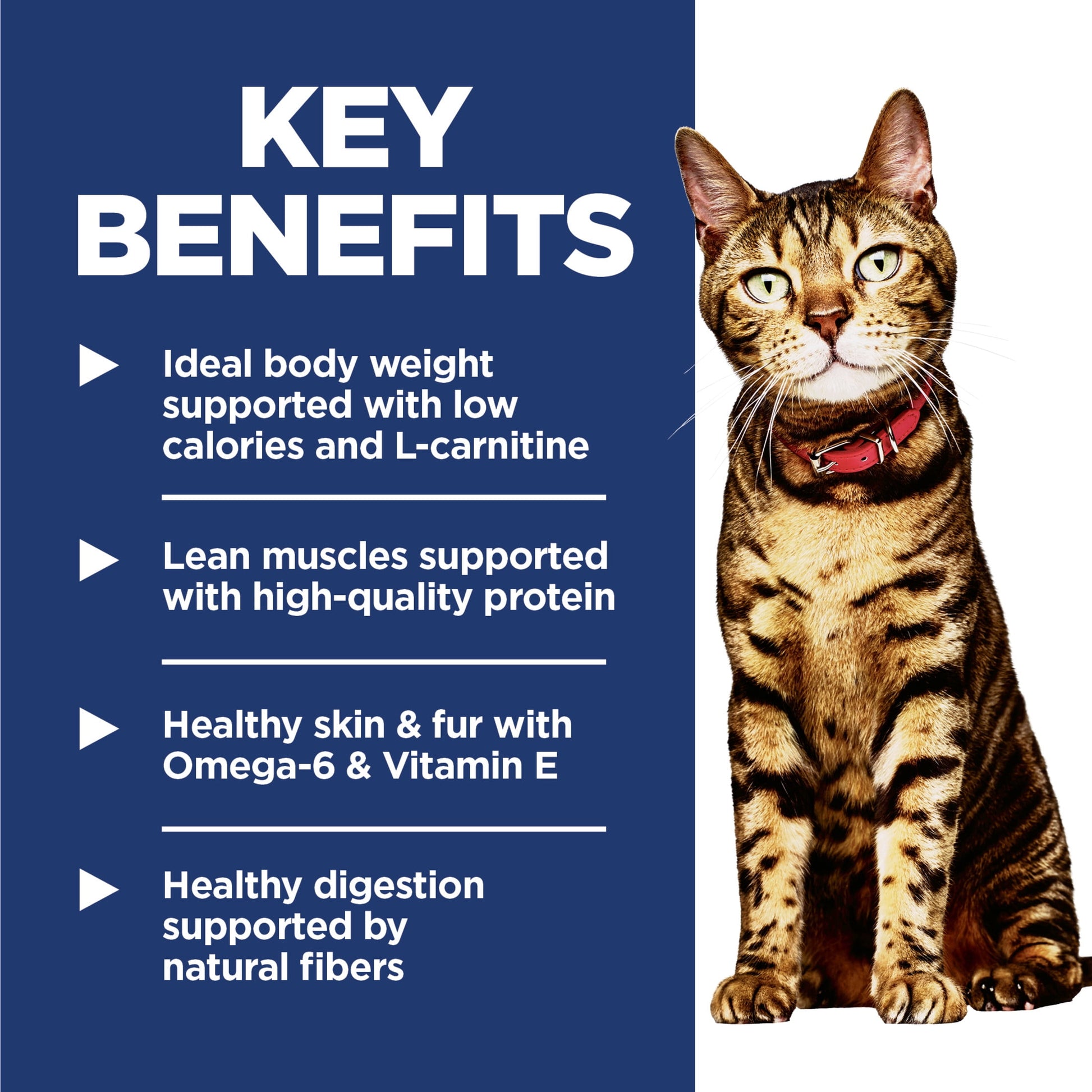 Hill's Science Diet Light Chicken Dry Cat Food, 16lb Bag