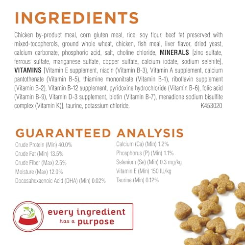 Purina Kitten Chow Cat Food