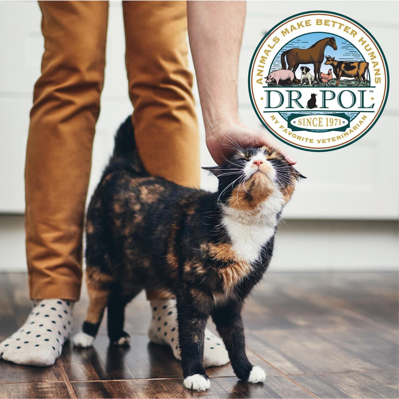 (6 pack) Dr. Pol Incredi-Pol Favorites Chicken Weight and Hairball Support Canned Cat Food, 5.5oz.